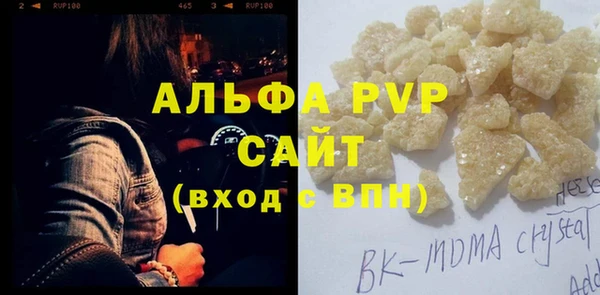 ECSTASY Алзамай