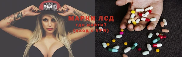 ECSTASY Алзамай